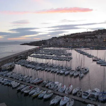 L'hippocampe Sète