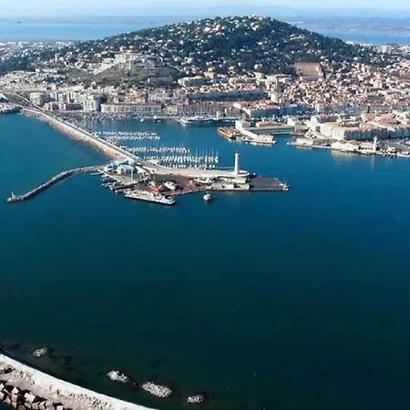 L'hippocampe * Sète