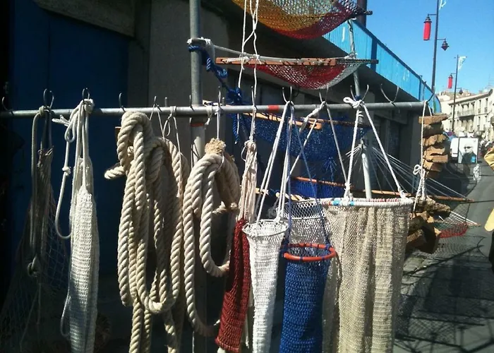 L'hippocampe * Сет